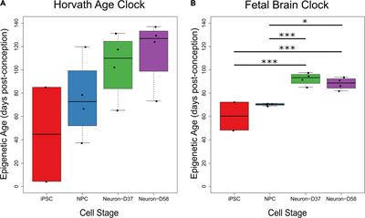 Characterization of DNA Methylomic Signatures in Induced Pluripotent Stem Cells During Neuronal Differentiation